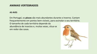 ANIMAIS VERTEBRADOS
AS AVES
Em Portugal, os piscos são mais abundantes durante o Inverno. Cantam
frequentemente em pontos bem visíveis, para assinalar o seu território.
O tamanho de cada território depende da
abundância de insectos e, muitas vezes, situa-se
em redor das casas.
 