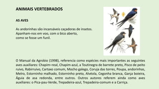ANIMAIS VERTEBRADOS
AS AVES
As andorinhas são incansáveis caçadoras de insetos.
Apanham-nos em voo, com o bico aberto,
como se fosse um funil.
O Manual da Agrobio (1998), referencia como espécies mais importantes as seguintes
aves auxiliares: Chapim–real, Chapim-azul, a Toutinegra de barrete preto, Pisco de peito
ruivo, Rabirruivo, Cartaxo comum, Mocho galego, Coruja das torres, Poupa, andorinhas,
Melro, Estorninho malhado, Estorninho preto, Alvéola, Cegonha branca, Garça boieira,
Águia de asa redonda, entre outros. Outros autores referem ainda como aves
auxiliares: o Pica-pau-Verde, Trepadeira-azul, Trepadeira-comum e a Carriça.
 