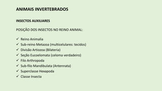 ANIMAIS INVERTEBRADOS
INSECTOS AUXILIARES
POSIÇÃO DOS INSECTOS NO REINO ANIMAL:
 Reino Animalia
 Sub-reino Metazoa (multicelulares: tecidos)
 Divisão Artiozoa (Bilateria)
 Seção Eucoelomata (celoma verdadeiro)
 Filo Arthropoda
 Sub-filo Mandibulata (Antennata)
 Superclasse Hexapoda
 Classe Insecta
 