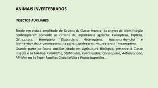 ANIMAIS INVERTEBRADOS
INSECTOS AUXILIARES
Tendo em vista a amplitude de Ordens da Classe Insecta, as chaves de identificação
contemplaram somente as ordens de importância agrícola: Coleoptera, Diptera,
Orthoptera, Hemiptera (Subordens Heteroptera, Auchenorrhyncha e
Sternorrhyncha),Hymenoptera, Isoptera, Lepidoptera, Neuroptera e Thysanoptera.
Grande parte da Fauna Auxiliar citada em Agricultura Biológica, pertence à Classe
Insecta e às famílias: Carabidae, Stafilinidae, Coccinelidae, Chrysopidae, Anthocoridae,
Miridae ou às Super Famílias Chalcicoidea e Protoctrupoidea.
 