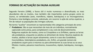 FORMAS DE ACTUAÇÃO DA FAUNA AUXILIAR
Segundo Ferreira (1998), a fauna útil é muito numerosa e diversificada; os mais
abundantes são os insetos, mas também são importantes outros grupos como os
ácaros, os vertebrados (aves, mamíferos, répteis, batráquios) e os microrganismos.
Portanto a luta biológica consiste, sobretudo, em recorrer à ação de certas espécies, a
fim de reduzir as populações dos inimigos culturais.
No termo “auxiliar” encontram-se representadas três categorias principais de seres:
 Predadores: São os que necessitam de mais de um indivíduo, normalmente
capturado como presa, para completarem o seu ciclo de desenvolvimento.
Nalgumas espécies de insetos, como os Crisopídeos e os Sirfídeos, apenas as larvas
são predadoras, enquanto os adultos se alimentam de néctar. Noutras espécies de
insetos, adultos e larvas caçam ativamente, como é o caso dos Carabídeos,
Coccinelídeos, heterópteros predadores, etc. Enfim, um grande número de
predadores caçam para si mesmos ou para alimentarem as suas larvas ou os seus
filhotes: insetos, pássaros insectívoros, musaranhos, répteis, batráquios, morcegos,
etc.
 