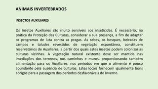 ANIMAIS INVERTEBRADOS
INSECTOS AUXILIARES
Os Insetos Auxiliares são muito sensíveis aos inseticidas. É necessário, na
prática da Proteção das Culturas, considerar a sua presença, a fim de adaptar
os programas de luta contra as pragas. As sebes, os bosques, beiradas de
campos e taludes revestidos de vegetação espontânea, constituem
reservatórios de Auxiliares, a partir dos quais estes insetos podem colonizar as
culturas vizinhas. A vegetação natural existente deve ser mantida nas
imediações dos terrenos, nos caminhos e muros, proporcionando também
alimentação para os Auxiliares, nos períodos em que o alimento é pouco
abundante pela ausência de culturas. Estes locais fornecem igualmente bons
abrigos para a passagem dos períodos desfavoráveis do Inverno.
 