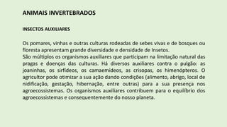 ANIMAIS INVERTEBRADOS
INSECTOS AUXILIARES
Os pomares, vinhas e outras culturas rodeadas de sebes vivas e de bosques ou
floresta apresentam grande diversidade e densidade de Insetos.
São múltiplos os organismos auxiliares que participam na limitação natural das
pragas e doenças das culturas. Há diversos auxiliares contra o pulgão: as
joaninhas, os sirfídeos, os camaemídeos, as crisopas, os himenópteros. O
agricultor pode otimizar a sua ação dando condições (alimento, abrigo, local de
nidificação, gestação, hibernação, entre outras) para a sua presença nos
agroecossistemas. Os organismos auxiliares contribuem para o equilíbrio dos
agroecossistemas e consequentemente do nosso planeta.
 