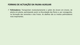 FORMAS DE ACTUAÇÃO DA FAUNA AUXILIAR
 Polinizadores: Transportam involuntariamente o pólen de árvore em árvore, de
planta em planta, participando assim na fecundação das flores e, por conseguinte,
na formação das sementes e dos frutos. As abelhas são os insetos polinizadores
mais importantes.
 