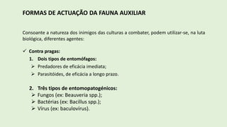 FORMAS DE ACTUAÇÃO DA FAUNA AUXILIAR
Consoante a natureza dos inimigos das culturas a combater, podem utilizar-se, na luta
biológica, diferentes agentes:
 Contra pragas:
1. Dois tipos de entomófagos:
 Predadores de eficácia imediata;
 Parasitóides, de eficácia a longo prazo.
2. Três tipos de entomopatogénicos:
 Fungos (ex: Beauveria spp.);
 Bactérias (ex: Bacillus spp.);
 Vírus (ex: baculovírus).
 