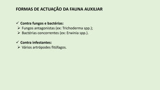 FORMAS DE ACTUAÇÃO DA FAUNA AUXILIAR
 Contra fungos e bactérias:
 Fungos antagonistas (ex: Trichoderma spp.);
 Bactérias concorrentes (ex: Erwinia spp.).
 Contra infestantes:
 Vários artrópodes fitófagos.
 