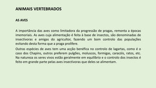 ANIMAIS VERTEBRADOS
AS AVES
A importância das aves como limitadora da progressão de pragas, remonta a épocas
imemoriais. As aves cuja alimentação é feita à base de insectos, são denominadas de
insectívoras e amigas do agricultor, fazendo um bom controlo das populações
evitando desta forma que a praga prolifere.
Outras espécies de aves tem uma acção benéfica no controlo de lagartas, como é o
caso dos Chapins, outros preferem pulgões, moluscos, formigas, caracóis, ratos, etc.
Na natureza os seres vivos estão geralmente em equilíbrio e o controlo dos insectos é
feito em grande parte pelas aves insectívoras que deles se alimentam.
 