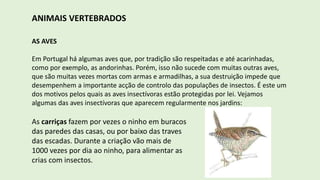 ANIMAIS VERTEBRADOS
AS AVES
Em Portugal há algumas aves que, por tradição são respeitadas e até acarinhadas,
como por exemplo, as andorinhas. Porém, isso não sucede com muitas outras aves,
que são muitas vezes mortas com armas e armadilhas, a sua destruição impede que
desempenhem a importante acção de controlo das populações de insectos. É este um
dos motivos pelos quais as aves insectívoras estão protegidas por lei. Vejamos
algumas das aves insectívoras que aparecem regularmente nos jardins:
As carriças fazem por vezes o ninho em buracos
das paredes das casas, ou por baixo das traves
das escadas. Durante a criação vão mais de
1000 vezes por dia ao ninho, para alimentar as
crias com insectos.
 