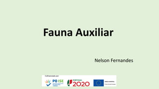 Fauna Auxiliar
Nelson Fernandes
 