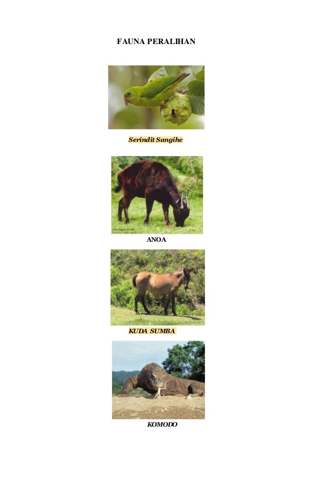 Fauna Bagian Timur Dan Barat