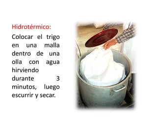 Hidrotérmico:
Colocar el trigo
en una malla
dentro de una
olla con agua
hirviendo
durante           3
minutos, luego
escurrir y secar.
 