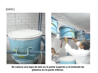(cont.)




    Se coloca una tapa de tela en la parte superior y el embudo de
                     plástico en la parte inferior.
 