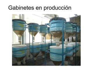 Gabinetes en producción
 