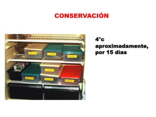 CONSERVACIÓN


         4°c
         aproximadamente,
         por 15 días
 
