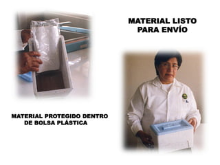 MATERIAL LISTO
                             PARA ENVÍO




MATERIAL PROTEGIDO DENTRO
   DE BOLSA PLÁSTICA
 
