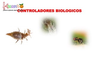 CONTROLADORES BIOLOGICOS
 