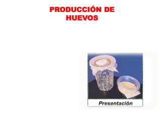 PRODUCCIÓN DE
   HUEVOS
 