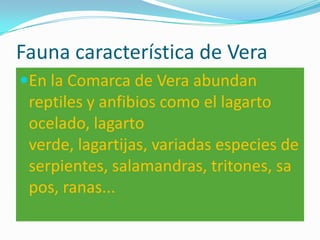 Fauna característica de Vera<br />En la Comarca de Vera abundan reptiles y anfibios como el lagarto ocelado, lagarto verde...