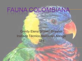 FAUNA COLOMBIANA

Greidy Elena Gómez Grisales
Instituto Técnico Mercedes Abrego
10 c

 