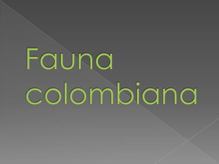 Fauna colombiana