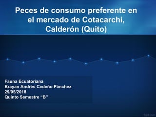 Peces de consumo preferente en
el mercado de Cotacarchi,
Calderón (Quito)
Fauna Ecuatoriana
Brayan Andrés Cedeño Pánchez
29/05/2018
Quinto Semestre “B”
 