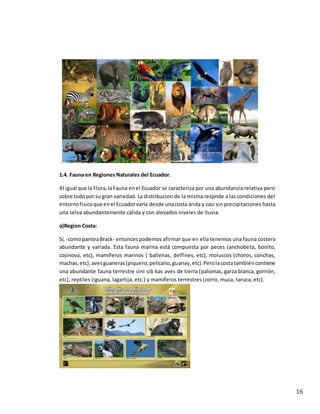 16
.
1.4. Fauna en Regiones Naturales del Ecuador.
Al igual que la Flora,laFauna enel Ecuador se caracteriza por una abundancia relativa pero
sobre todopor su gran variedad. La distribucion de la misma respnde a las condiciones del
entornofisicoque enel Ecuadorvaría desde unacosta árida y casi sin precipitaciones hasta
una selva abundantemente cálida y con alevados niveles de lluvia.
a)Region Costa:
Sí, -comopanteaBrack- entoncespodemos afirmar que en ella tenemos una fauna costera
abundante y variada. Esta fauna marina está compuesta por peces (anchobeta, bonito,
cojinova, etc), mamíferos marinos ( ballenas, delfines, etc), moluscos (choros, conchas,
machas,etc),avesguaneras(piquero,pelicano,guanay,etc).Perolacostatambiéncontiene
una abundante fauna terrestre cini sib kas aves de tierra (palomas, garza blanca, gorrión,
etc), reptiles (iguana, lagartija, etc.) y mamíferos terrestres (zorro, muca, taruca, etc).
 