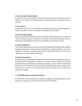 21
3. Fauna de origen Océano Tropical:
Se presentan en el mar tropical de la costa norte y sus principales exponentes son el ave
fregata, el ave trópico, las tortugas marinas, la serpiente marina y numerosos peces y
moluscos.
4. Fauna marina:
Es propiadel mar frío con numerosasaves marinas (piqueros, guanay, alcatraz, potoyunco,
brujillo, etc), peces, moluscos, crustáceos y equinodermos, entre otros.
5. Fauna de origen neártico:
Diversasespeciesde lafaunadel hemisferionorte haninvadidoAméricadel Sura travéz del
istmo de Panamá, cuando se estableció la conexión entre América del Norte y del Sur.
Pertenecen a estre grupo los felinos, el oso, camelidos, los insectivoros y otros.
6. Especies migratorias:
Cerca de 106 especiesde avesvisitannuestroterritoriodesde el hemisferionorte ydesde la
Antártida, destacando numerosas especies de playeros y el águila pescadora, entre otras.
También las ballenas y cachalotes migran hata la costa norte durante el invierno para
reproducirse, viniendo desde el subantártico.
7. Especies Introducidas:
El serhumanose ha conservado enunagente activode dispersión de especies de fauna, al
transportar activa o pasivamente especies de un lugar a otro del planeta. Los primeros
grupos humanos, que migraron al Continente Americano, trajeron al perro. A partir de la
conquista se han introducido numerosas especies domésticas (equinos, vacunos, ovinos,
caprinos, aves, insectos, etc.) y silvestres (ratas, ratones, insectos, etc.) y muchas se han
convertido en plagas.
1.7. ECUADOR: Especies en peligro de extinción
El Instituto de recursos Naturales es el órgano encargado de proponer políticas, planes,
programas, proyectos y normas sobre la fauna silvestre del Ecuador.
 