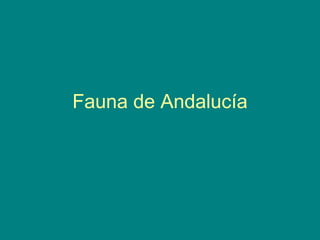 Fauna de Andalucía 