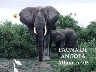 FAUNA DE
ANGOLA
Album nº 03
 