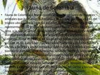 Fauna de Colombia
• Fauna de Colombia o fauna colombiana, es el conjunto de especies
animales que habitan en la República de Colombia. Al ser un país del
trópico ubicado en la zona del ecuador, Colombia tiene una gran
representación de grupos taxonómicos en fauna y flora típica del
área, a la que se suman variedades de migraciones de fauna desde
distintas partes del planeta, por la variedad de ecosistemas.1
Colombia posee el 44.25 % de los páramos sudamericanos, siendo
así, uno de los países con mayores áreas húmedas y con alta fluidez
de ríos a lo largo y ancho del país a nivel mundial. Colombia presenta
biomas de páramo, selva (Amazonia, selva del Pacífico), vegetación
herbácea arbustiva de cerros amazónicos, bosques bajos y catingales
amazónicos, sabanas llaneras, matorrales xerofíticos y desiertos,
bosques aluviales, bosques húmedos tropicales, bosques de manglar,
bosques y vegetación de pantano, las sabanas del Caribe y los Llanos,
bosques andinos y bosques secos o subhúmedos tropicales.
 