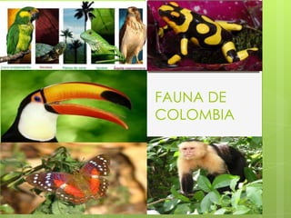 FAUNA DE
COLOMBIA

 