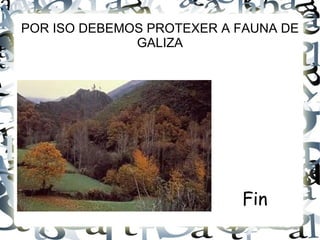 POR ISO DEBEMOS PROTEXER A FAUNA DE GALIZA Fin  
