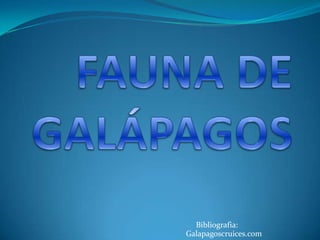 Galapagoscruices.com
Bibliografia:
 