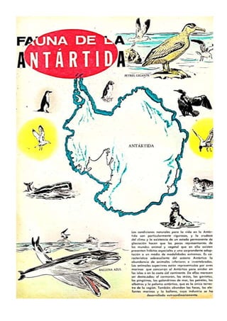 Fauna de la Antártida