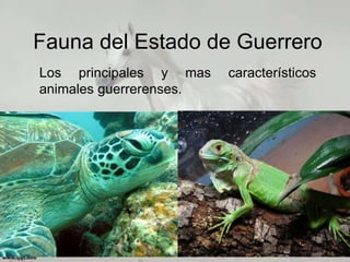 Fauna del Estado de Guerrero
Los principales y mas característicos
animales guerrerenses.
 