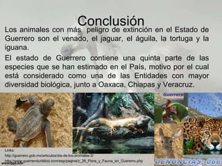 ConclusiónLos animales con más peligro de extinción en el Estado de
Guerrero son el venado, el jaguar, el águila, la tortuga y la
iguana.
El estado de Guerrero contiene una quinta parte de las
especies que se han estimado en el País, motivo por el cual
está considerado como una de las Entidades con mayor
diversidad biológica, junto a Oaxaca, Chiapas y Veracruz.
Links:
http://guerrero.gob.mx/articulos/dia-de-los-animales-3/
http://www.guerreroturistico.com/esp/pagina/z_26_Flora_y_Fauna_en_Guererro.php
 