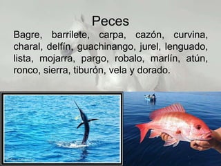 Peces
Bagre, barrilete, carpa, cazón, curvina,
charal, delfín, guachinango, jurel, lenguado,
lista, mojarra, pargo, robalo, marlín, atún,
ronco, sierra, tiburón, vela y dorado.
 
