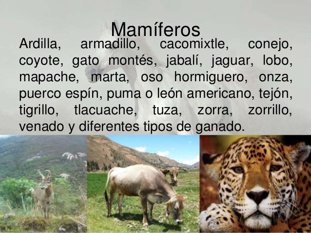 Fauna del estado de Guerrero