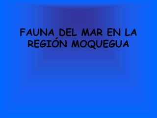 FAUNA DEL MAR EN LA
REGIÓN MOQUEGUA
 