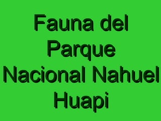 Fauna delFauna del
ParqueParque
Nacional NahuelNacional Nahuel
HuapiHuapi
 