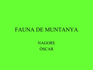FAUNA DE MUNTANYA

      NAGORE
       ÒSCAR
 