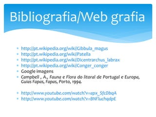  http://pt.wikipedia.org/wiki/Gibbula_magus
 http://pt.wikipedia.org/wiki/Patella
 http://pt.wikipedia.org/wiki/Dicentrarchus_labrax
 http://pt.wikipedia.org/wiki/Conger_conger
 Google imagens
 Campbell , A., Fauna e Flora do litoral de Portugal e Europa,
Guias Fapas, Fapas, Porto, 1994.
 http://www.youtube.com/watch?v=apx_SfcDbqA
 http://www.youtube.com/watch?v=BNFluchqdpE
Bibliografia/Web grafia
 