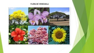 FLORA DE VENEZUELA
 
