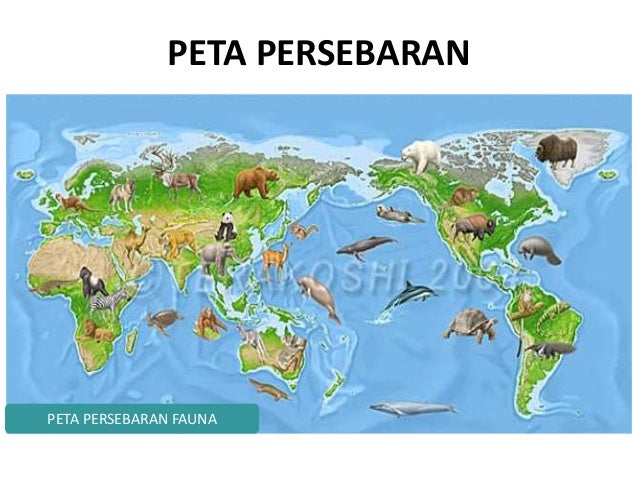 52 Gambar Peta Persebaran Fauna Oriental Paling Hist