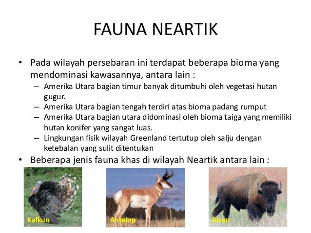 PERSEBARAN FAUNA  DI DUNIA