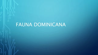 FAUNA DOMINICANA
 