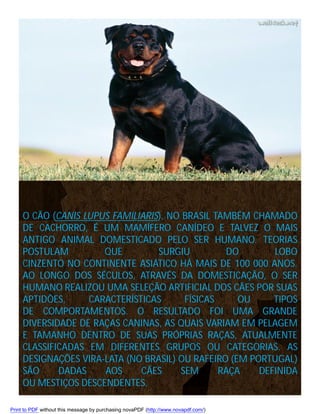 O CÃO (CANIS LUPUS FAMILIARIS), NO BRASIL TAMBÉM CHAMADO
DE CACHORRO, É UM MAMÍFERO CANÍDEO E TALVEZ O MAIS
ANTIGO ANIMAL DOMESTICADO PELO SER HUMANO. TEORIAS
POSTULAM
QUE
SURGIU
DO
LOBO
CINZENTO NO CONTINENTE ASIÁTICO HÁ MAIS DE 100 000 ANOS.
AO LONGO DOS SÉCULOS, ATRAVÉS DA DOMESTICAÇÃO, O SER
HUMANO REALIZOU UMA SELEÇÃO ARTIFICIAL DOS CÃES POR SUAS
APTIDÕES,
CARACTERÍSTICAS
FÍSICAS
OU
TIPOS
DE COMPORTAMENTOS. O RESULTADO FOI UMA GRANDE
DIVERSIDADE DE RAÇAS CANINAS, AS QUAIS VARIAM EM PELAGEM
E TAMANHO DENTRO DE SUAS PRÓPRIAS RAÇAS, ATUALMENTE
CLASSIFICADAS EM DIFERENTES GRUPOS OU CATEGORIAS. AS
DESIGNAÇÕES VIRA-LATA (NO BRASIL) OU RAFEIRO (EM PORTUGAL)
SÃO
DADAS
AOS
CÃES
SEM
RAÇA
DEFINIDA
OU MESTIÇOS DESCENDENTES.
Print to PDF without this message by purchasing novaPDF (http://www.novapdf.com/)

 