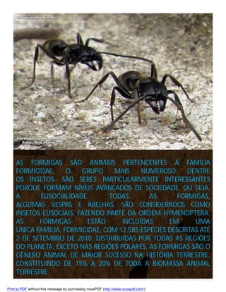 AS FORMIGAS SÃO ANIMAIS PERTENCENTES À FAMÍLIA
FORMICIDAE,
O
GRUPO
MAIS
NUMEROSO
DENTRE
OS INSETOS. SÃO SERES PARTICULARMENTE INTERESSANTES
PORQUE FORMAM NÍVEIS AVANÇADOS DE SOCIEDADE, OU SEJA,
A
EUSOCIALIDADE.
TODAS
AS
FORMIGAS,
ALGUMAS VESPAS E ABELHAS, SÃO CONSIDERADOS COMO
INSETOS EUSOCIAIS, FAZENDO PARTE DA ORDEM HYMENOPTERA.
AS
FORMIGAS
ESTÃO
INCLUÍDAS
EM
UMA
ÚNICA FAMÍLIA, FORMICIDAE, COM 12.585 ESPÉCIES DESCRITAS ATÉ
2 DE SETEMBRO DE 2010, DISTRIBUÍDAS POR TODAS AS REGIÕES
DO PLANETA, EXCETO NAS REGIÕES POLARES. AS FORMIGAS SÃO O
GÊNERO ANIMAL DE MAIOR SUCESSO NA HISTÓRIA TERRESTRE,
CONSTITUINDO DE 15% A 20% DE TODA A BIOMASSA ANIMAL
TERRESTRE.
Print to PDF without this message by purchasing novaPDF (http://www.novapdf.com/)

 