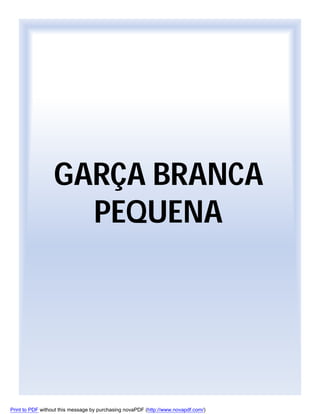 GARÇA BRANCA
PEQUENA

Print to PDF without this message by purchasing novaPDF (http://www.novapdf.com/)

 