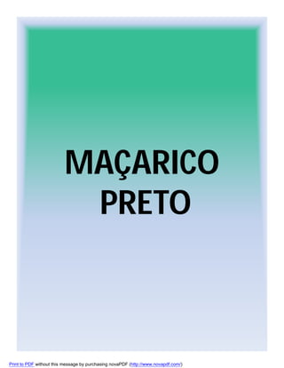 MAÇARICO
PRETO

Print to PDF without this message by purchasing novaPDF (http://www.novapdf.com/)

 